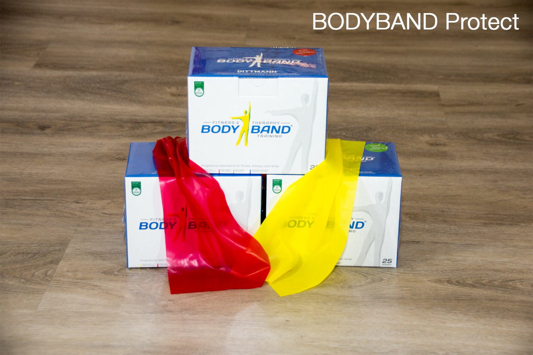 Dittmann Bodyband